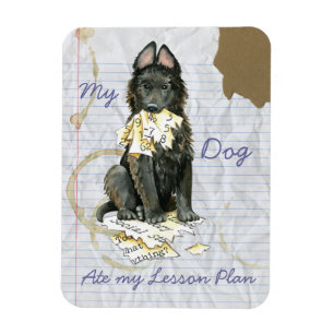 Min belgiska fårhund åt min Lesson-plan Magnet