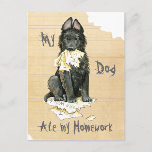Min belgiska Sheepdog Ate My Homwork Vykort