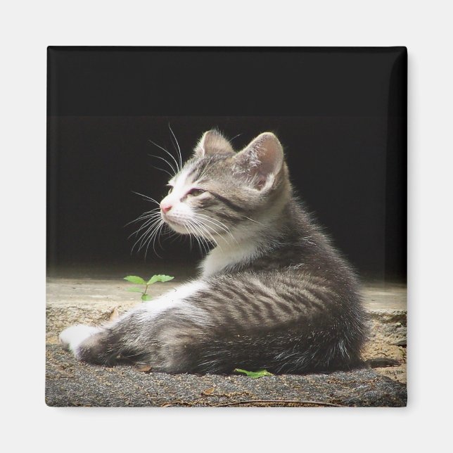 Min bevakning magnet (Framsidan)