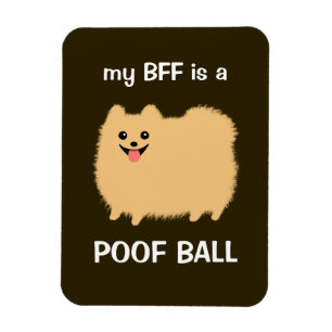 min BFF är en BÖGBOLL - den roliga Pomeranian Magnet
