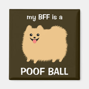 Min BFF är en Pomeranian Poof Boll - Roligt Pom De Magnet