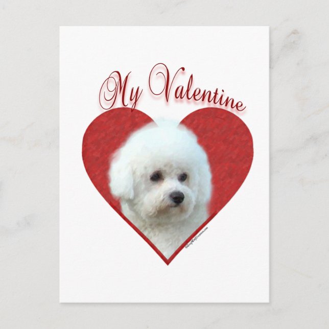 Min Bichon Frise Alla Hjärtans Dag Helg Vykort (Framsida)