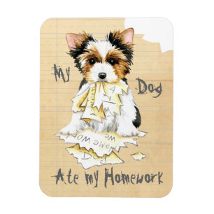 Min Biewer Terrier Ate My Homwork Magnet