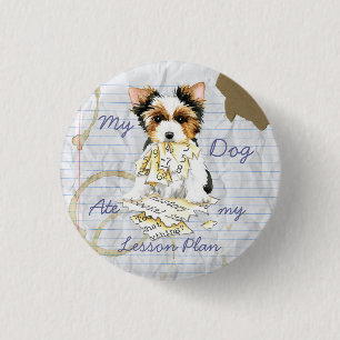 Min Biewer Terrier Ate my Lesson Plan-knapp Knapp