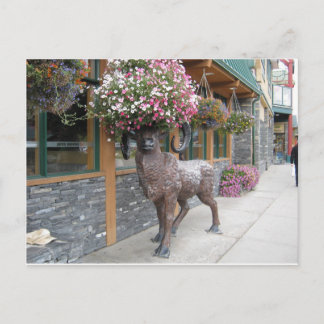 Min blomma Hatt Vykort