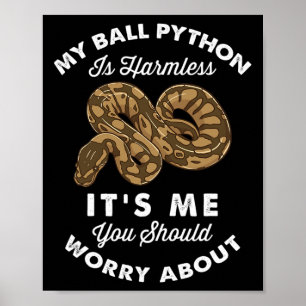Min Boll-pyton är ofarlig... Det är jag du borde o Poster