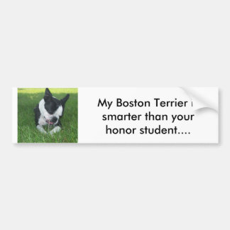 Min Boston Terrier är mer smart än din heder S. Bildekal