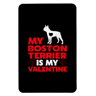 Min Boston Terrier är min Valentine Boston Terrier Magnet