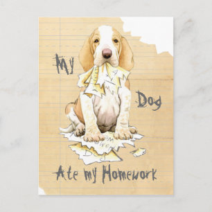 Min Bracco Italiano Ate min hemläxa Vykort