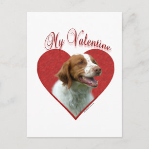 Min Bretagne spanjor Valentine Helg Vykort