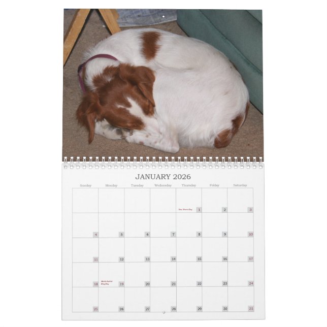 Min Brittanys 2011 Kalender (Jan 2026)