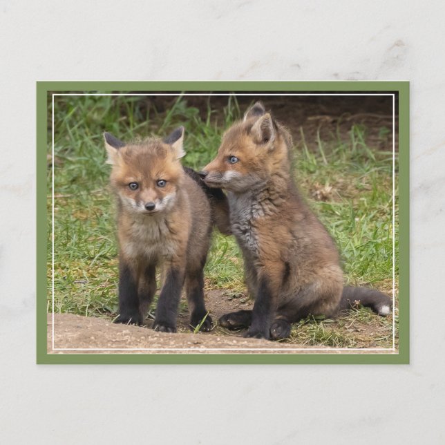 Min bror/min syster min vän vykort (Framsida)