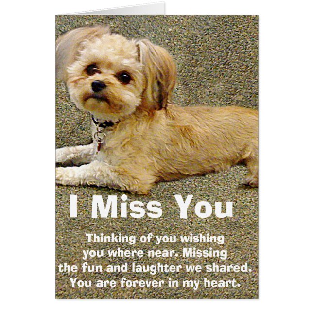 Min Buddy_ Hälsningskort (Framsidan)