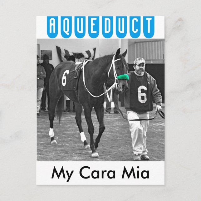 Min Cara Mia Vykort (Framsida)