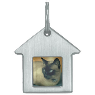Min Cat Pet-tagg Namnbricka Husdjur