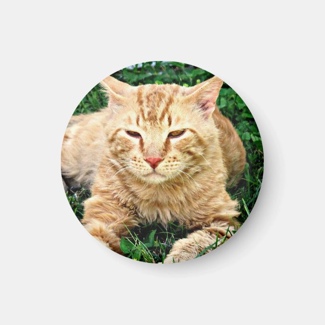 Min Cat Rudy Magnet (Framsidan)