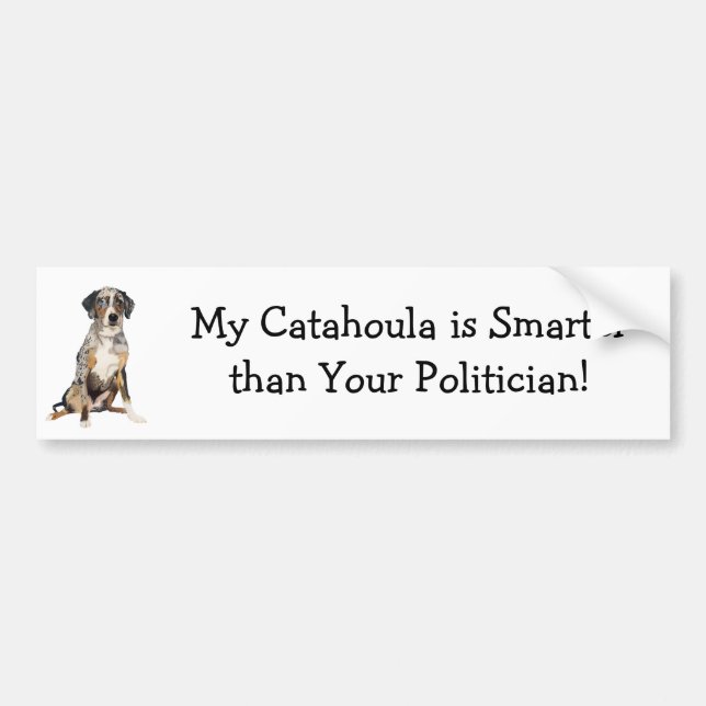Min Catahoula är mer smart än din politikar Bildekal (Framsidan)