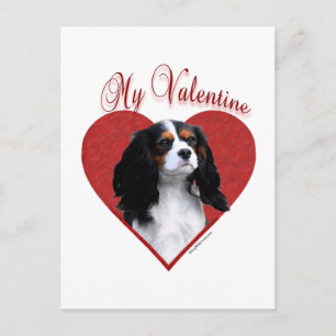 Min Cavalier Valentine Helg Vykort