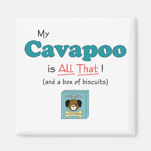 Min Cavapoo är all det! Magnet