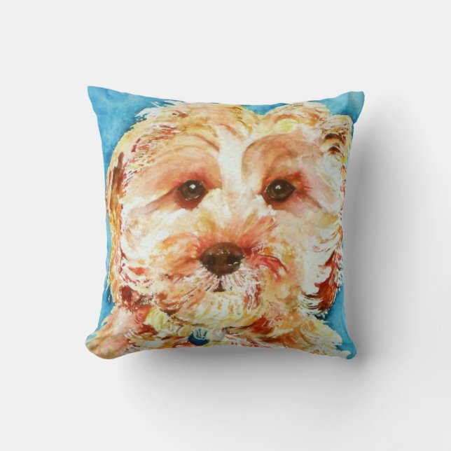 Min cavapoovalp "Ollie". Kudde (Framsida)