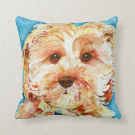 Min cavapoovalp "Ollie". Kudde