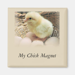 "Min Chick Magnet" med Baby Chicken Magnet