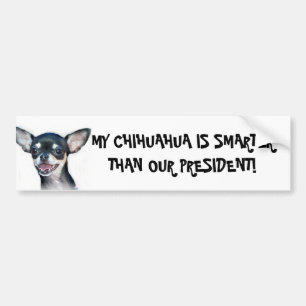 Min Chihuahua är mer smart bildekal