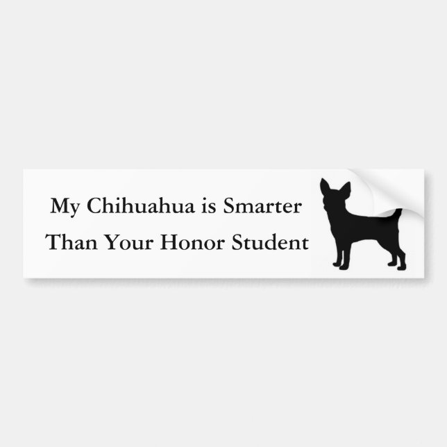 Min Chihuahua är mer smart Bildekal (Framsidan)