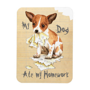 Min Chihuahua Ate Min hemläxa Magnet