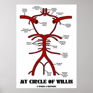 Min cirkel av Willis (Anatomiska artärer) Poster
