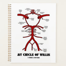 Min cirkel Willis Arteries Anatomical Humor