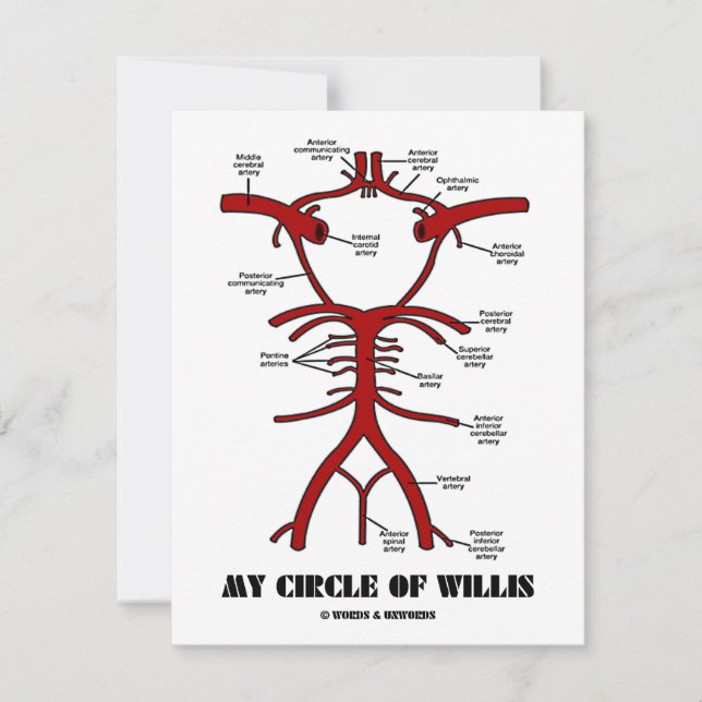 Min cirkel Willis (Arteries Anatomical Humor) (Framsida)