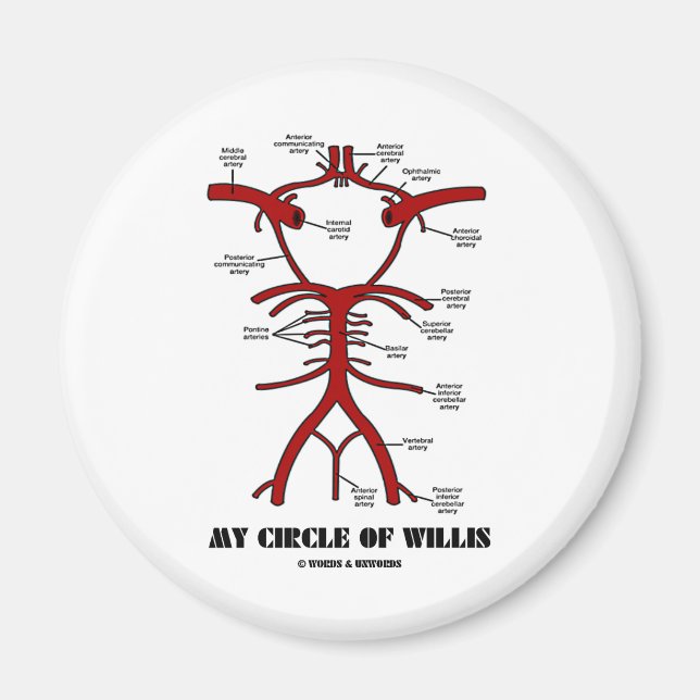 Min cirkel Willis (Arteries Anatomical Humor) Magnet (Framsidan)