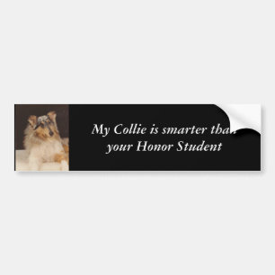 Min Collie är mer smart än din Hon… Bildekal