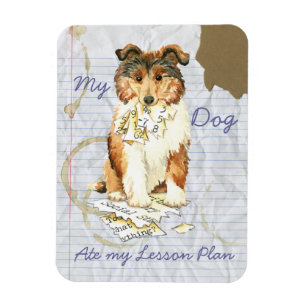 Min Collie Ate My Lesson Plan Magnet