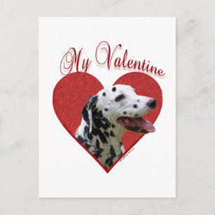 Min Dalmatian Valentine Helg Vykort