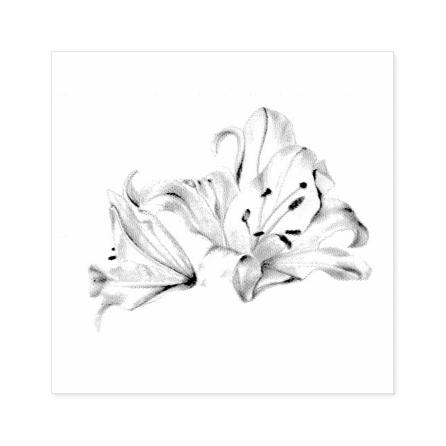 Min Darling White Lily Elegant Botaniska Chicen Stämpel (Tryck)