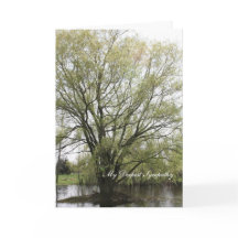 Min djupaste sympati