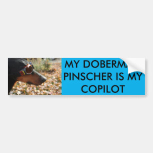 MIN DOBERMANPINSCHER ÄR MIN COPILOT BILDEKAL