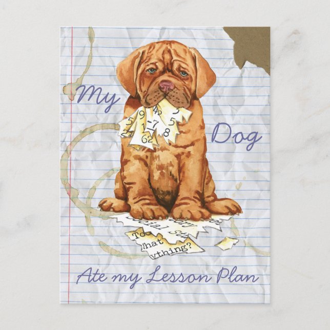 Min Dogue de Bordeaux Ate My Lesson Plan Vykort (Framsida)