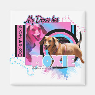 Min Doxie har Moxie Magnet