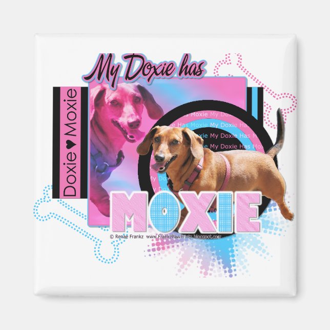 Min doxie har Moxie Magnet (Framsidan)