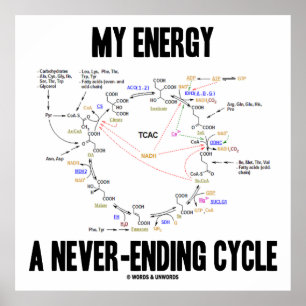 Min energi - en aldrig-ändande cykel (kretsloppscy poster