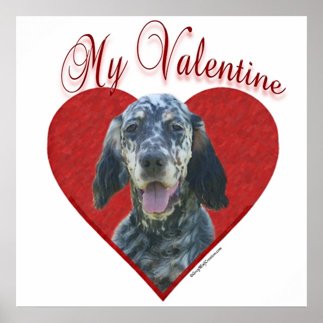 Min engelska setter Valentine Poster (Framsidan)