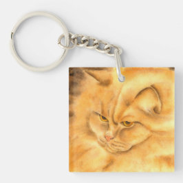 Min favoritgingerkatt