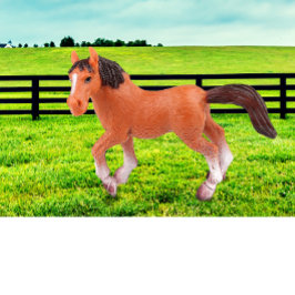 Min favorithäst t shirt