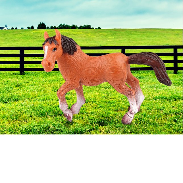 Min favorithäst t shirt (Skapare uppladdad)