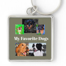 Min favoritHundar Skapar din egen 5-ställe