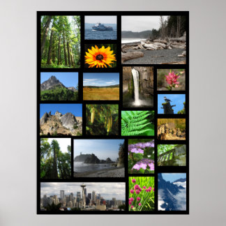 Min favoritStälle Poster