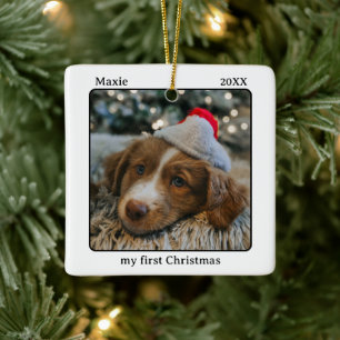 Min Första Jul Djur Foto Namn Julgransprydnad Keramik